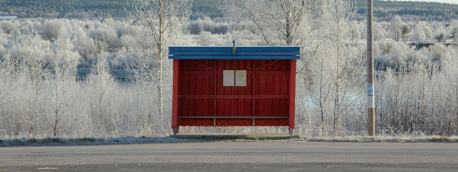 No One’s Coming, Build Anyway